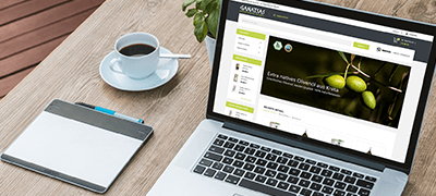 Onlineshop erstellen